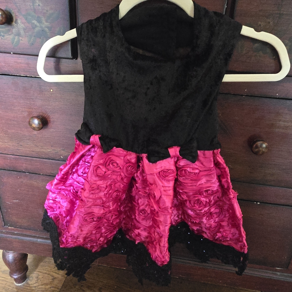 Dog Dress with Black and Pink Floral Raised Design